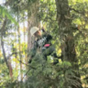 Meet your Posher, Gustafson tree care